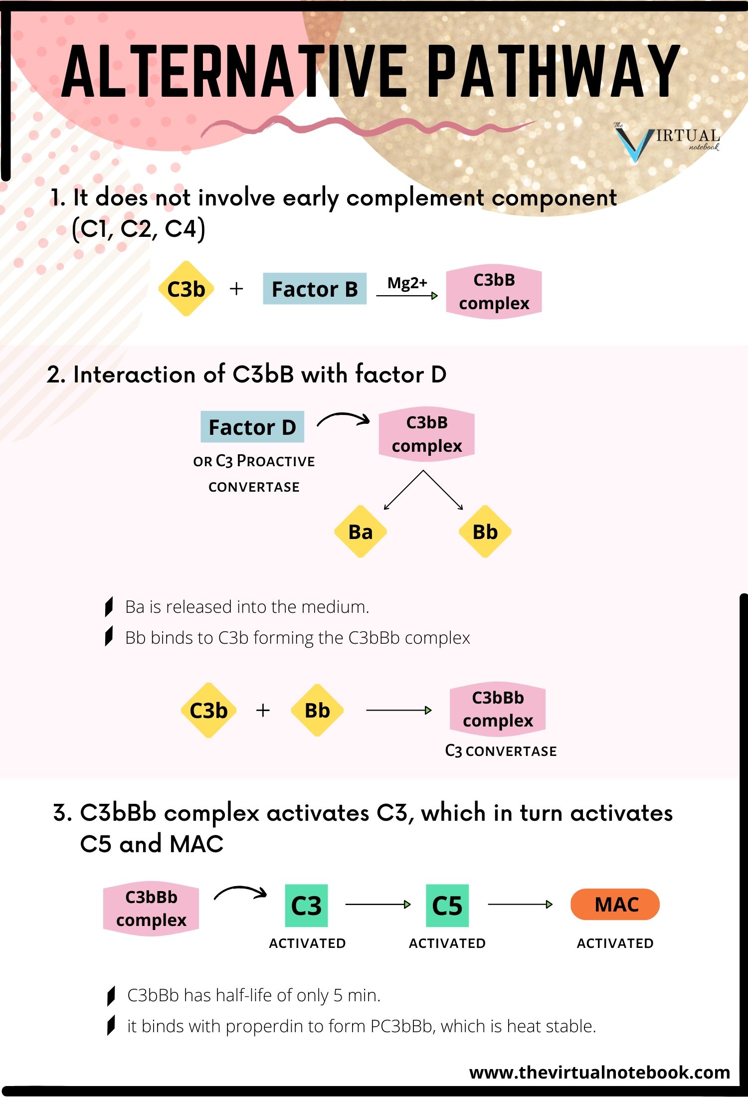 alternative pathway of complement system