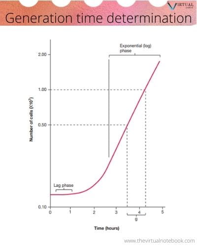 bacterial growth curve graph