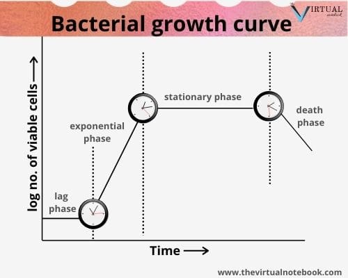 bacterial growth curve graph